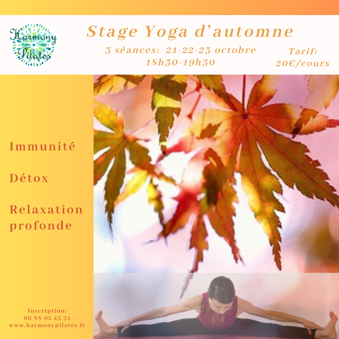 Stage Yoga d’Automne 3 séances progressives: 21,22 et 23 octobre de 18h30 à 19h30. Tarif: 20€/séance. Un stage sur plusieurs jours dans une recherche de progression pour offrir une compréhension approfondie de la pratique, gagner en autonomie et adapter le yoga à vos besoins.